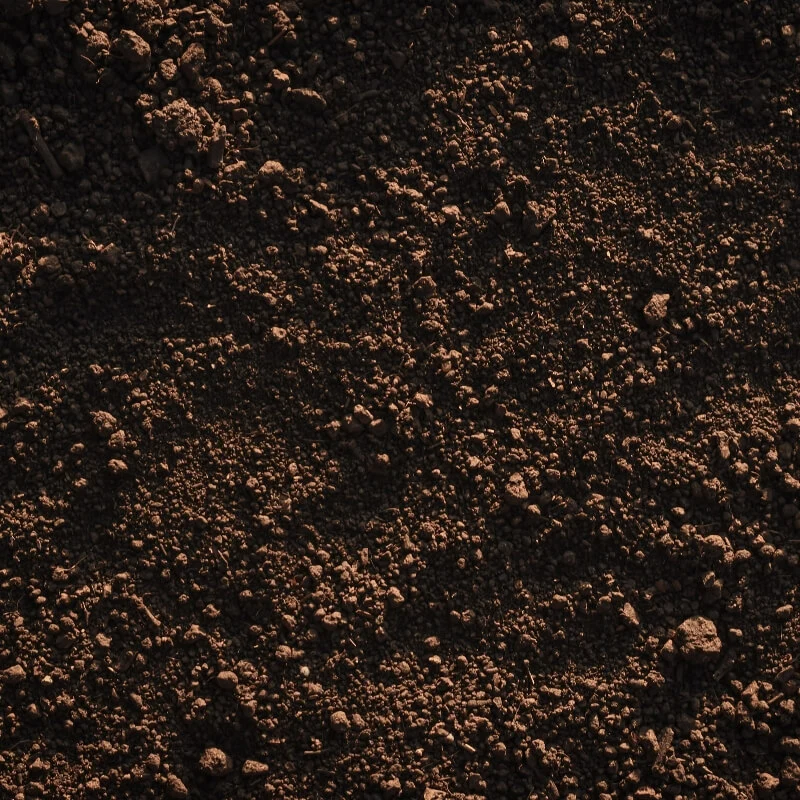 Corporate React Template